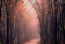 开云体育在线-钢铁之师！里尔客场逆转绝杀续写不败神话