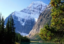 开云平台-鹿岛鹿角后防联动升级，力求限制对方攻势