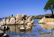 开云体育在线-钢铁之师!里尔客场逆转绝杀续写不败神话