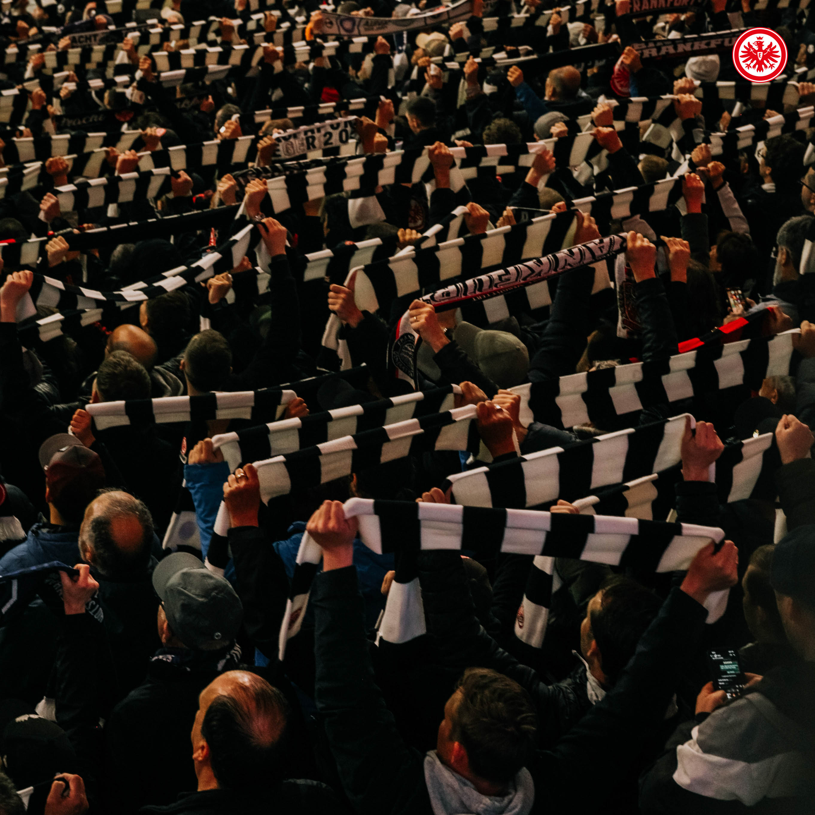 法兰克福新引援亮相,助球队胜利的简单介绍 法兰克福新引援亮相,助球队胜利的简单介绍