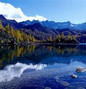 四川队客场艰难取胜,提升了季后赛席位的简单介绍 四川队客场艰难取胜,提升了季后赛席位的简单介绍