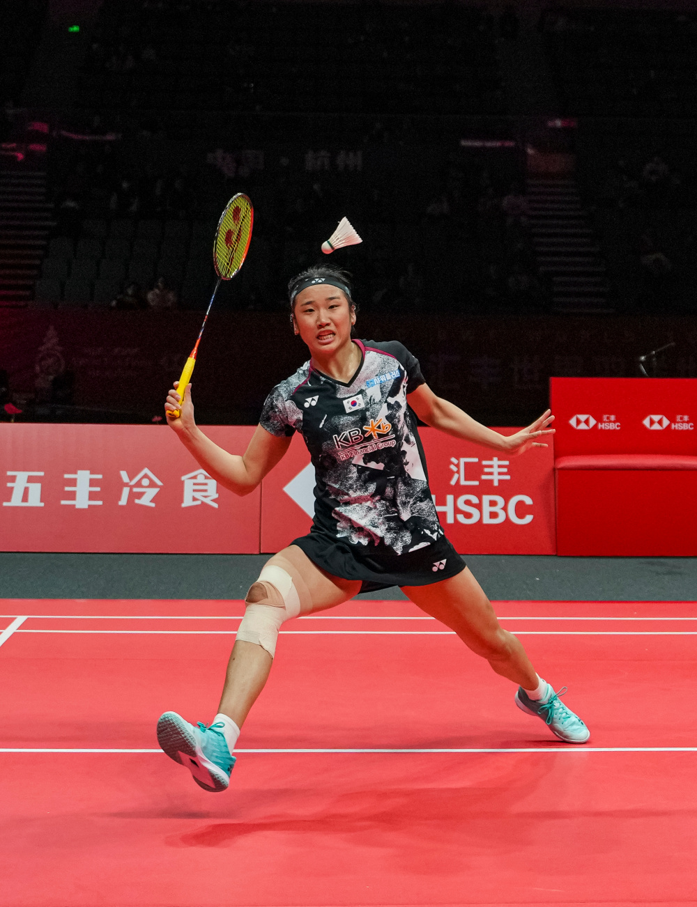 丹麦羽毛球队绝杀马来西亚羽毛球队,戴资颖惊艳世界的简单介绍 丹麦羽毛球队绝杀马来西亚羽毛球队,戴资颖惊艳世界的简单介绍