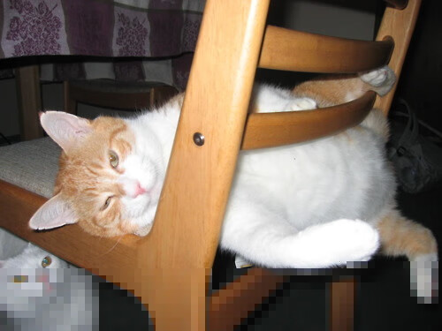 开云体育入口-奥斯梅恩，在苏葡对决中奏响攻防转换的现代狂想曲