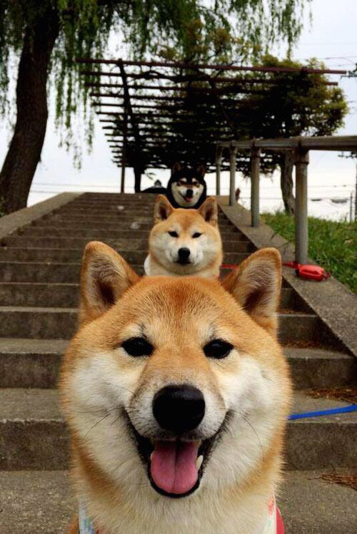 开云体育官网-篮球场上的欧冠决赛，广厦队闪电战摧毁活塞