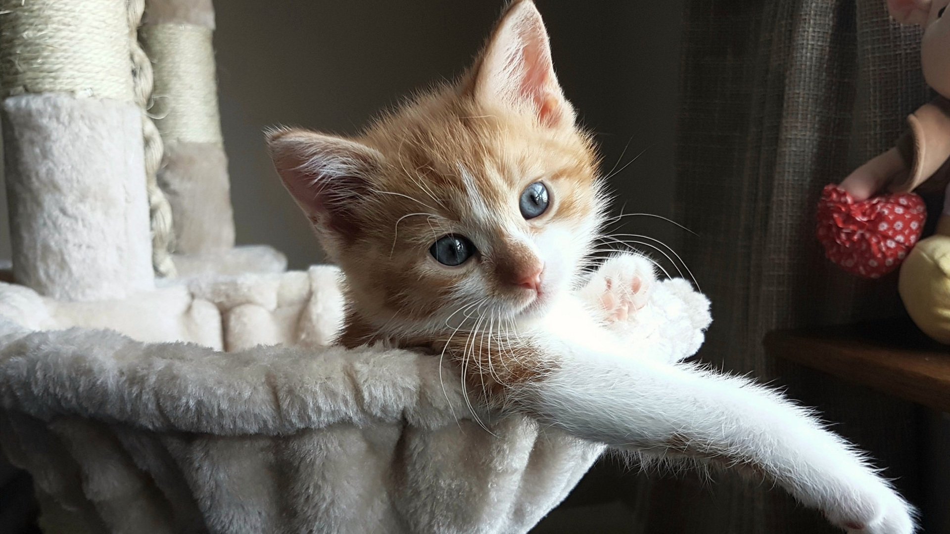 跨越战场的共振，当勇士剑指灰熊，奥运周期的号角早已吹响