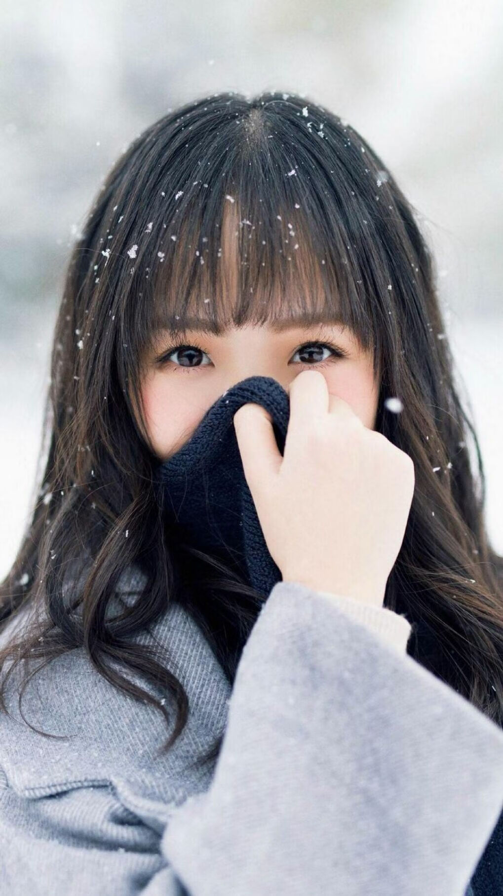 从条顿堡到现代球场，当条顿的号角在绿茵场上回响