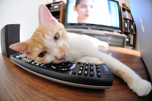 开云体育APP下载-薪资壁垒与战术壁垒，当阿拉巴刷新纪录，曼联封锁了米兰的叹息