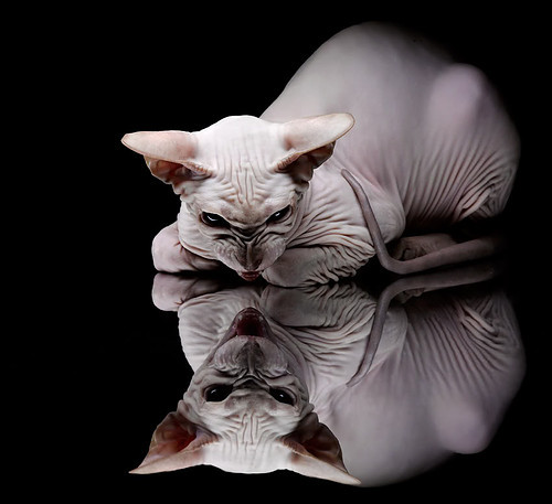 冷门之夜!深圳队爆冷击败火箭,贝恩末节爆发成关键先生