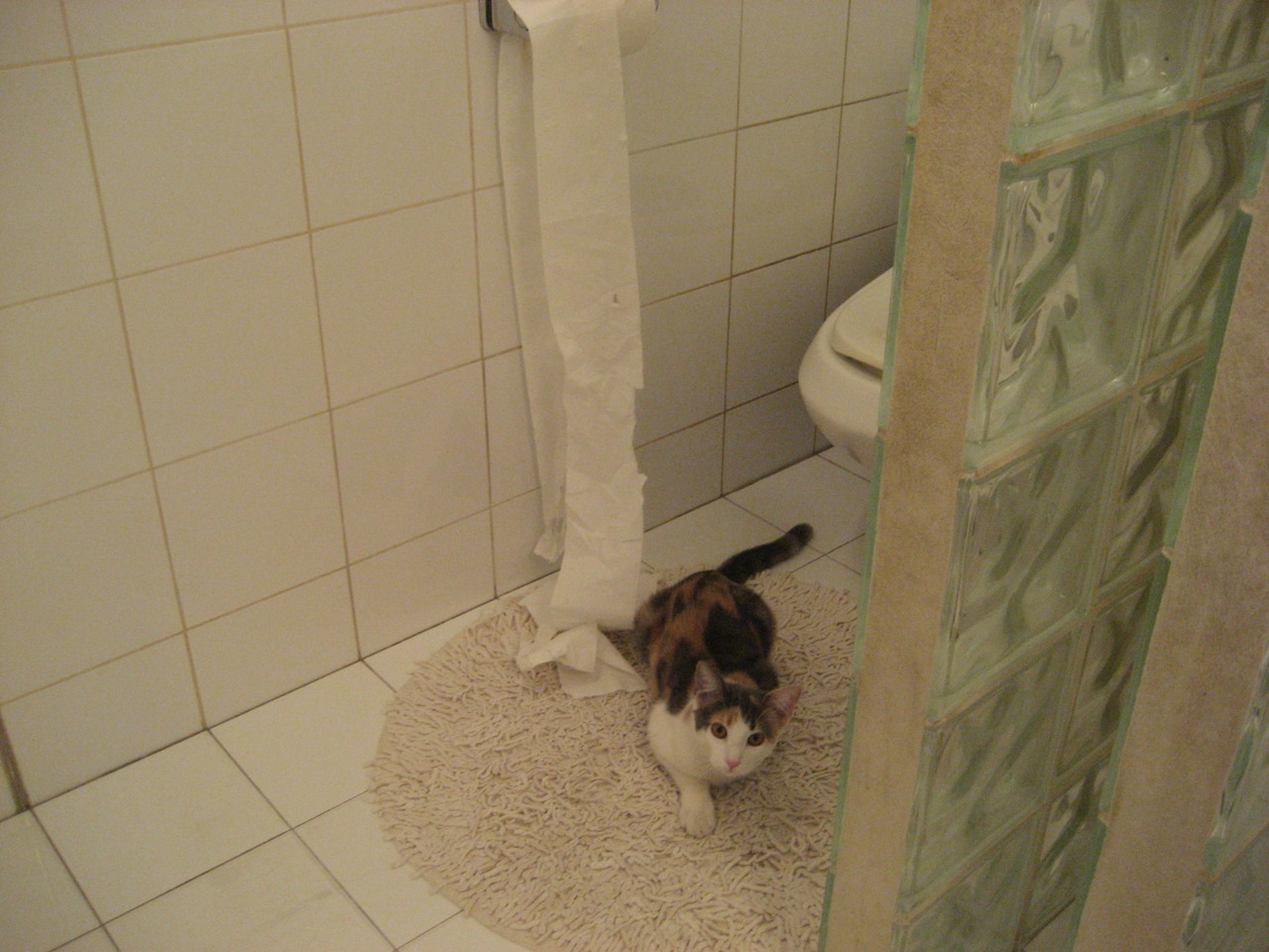 开云体育登录-热火斩落雄鹿，布克欧冠淘汰赛接管比赛，跨越篮球与足球的荣耀时刻