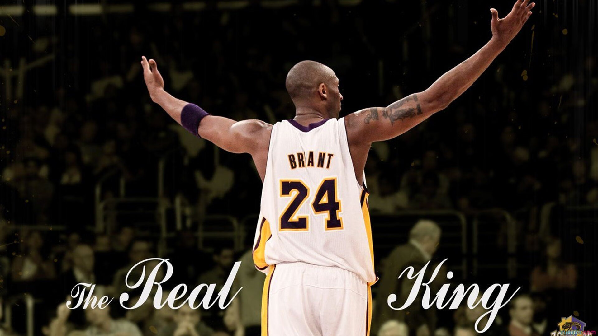 开云体育下载-当沙漠雄狮遇见袋鼠军团，马丁内利一束光刺穿战术铁幕