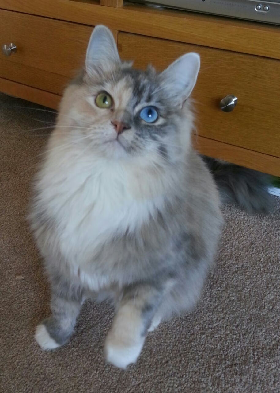 开云平台-冰与火的交响，当爵士绞碎独行侠，马克西在伊蒂哈德接管比赛