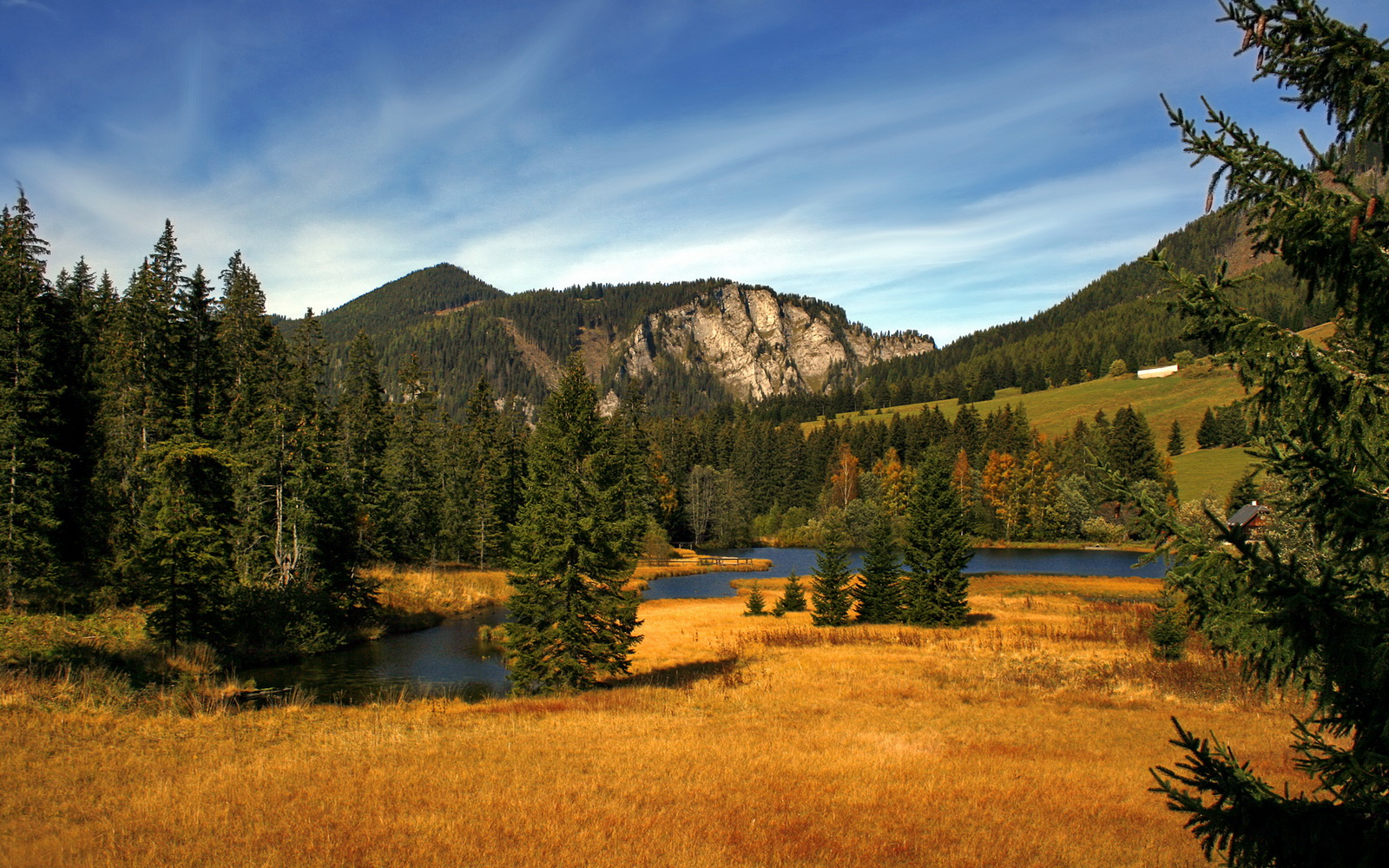 开云体育官网-跨界风暴，马里足球轻取伊朗，京多安篮球总决赛缔造传奇