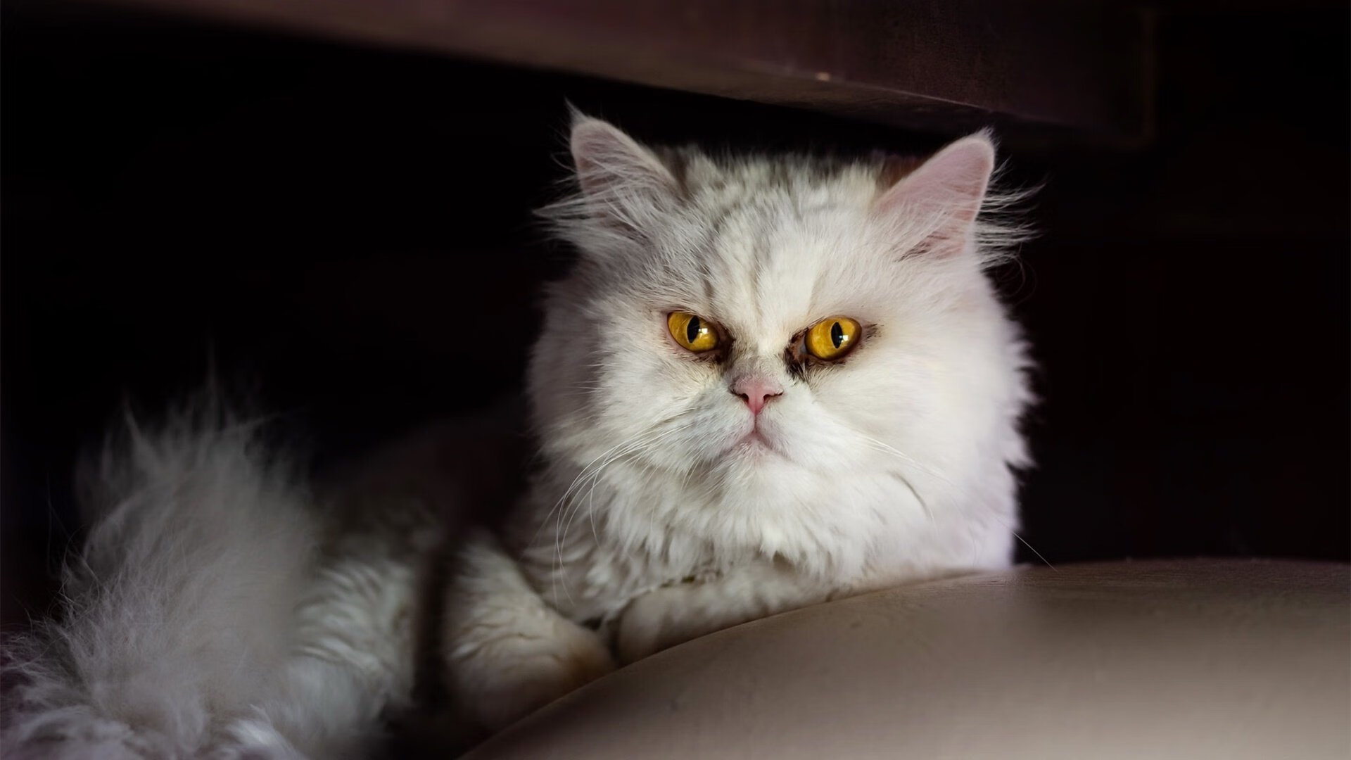 开云体育中国-胜利的哲学，当坚毅团队遇见孤胆英雄