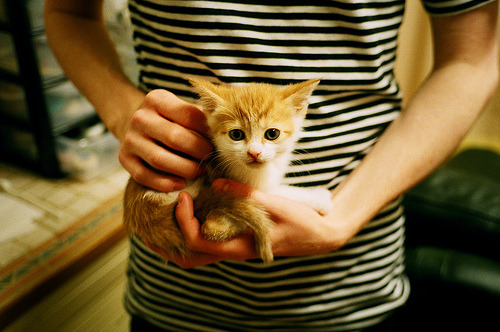 满电武士撕裂防线！三笘薰全程高能输出，塞维利亚生死战力克里昂